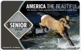A pass that says Senior and features and picture of a ram.