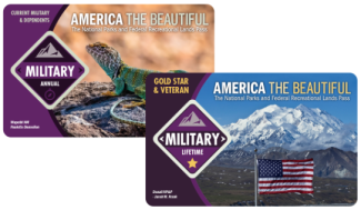 A picture of two passed that say Military and have photos of a lizard and an American flag.