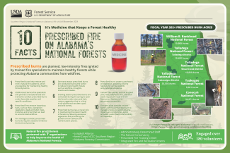 Benefits of prescribed burns