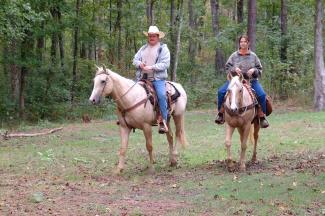 two people on horses in the forest