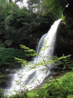 waterfall in the forest