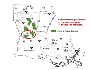 Louisiana map showing location of the Calcasieu Ranger District