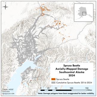 map of southcentral alaska show areas hit by spruce beetle