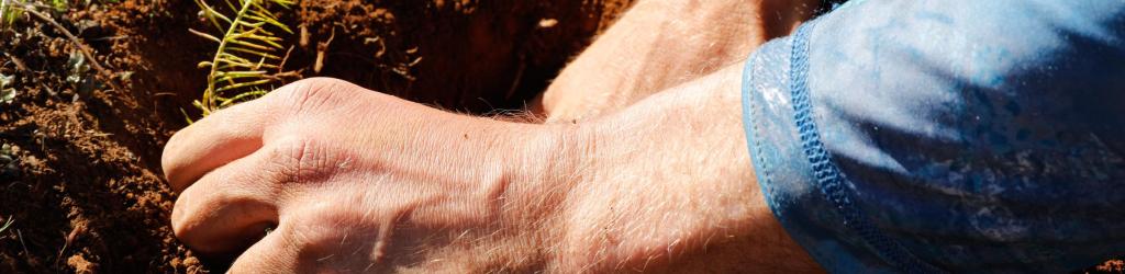 a man's hands dig through brown soil