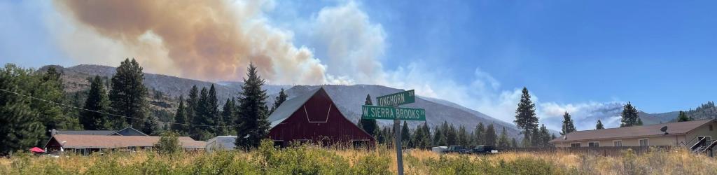 Bear Fire