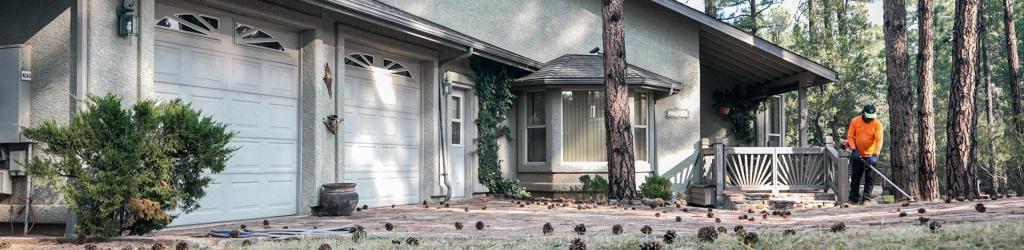 A homeowner removes dry pine needs and cones from yard