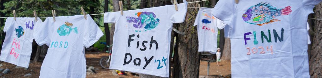 Hand painted fish shirts on a clothesline.