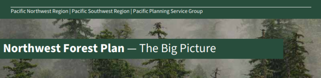 Screen shot that says Northwest Forest plan with mist and trees in the background.