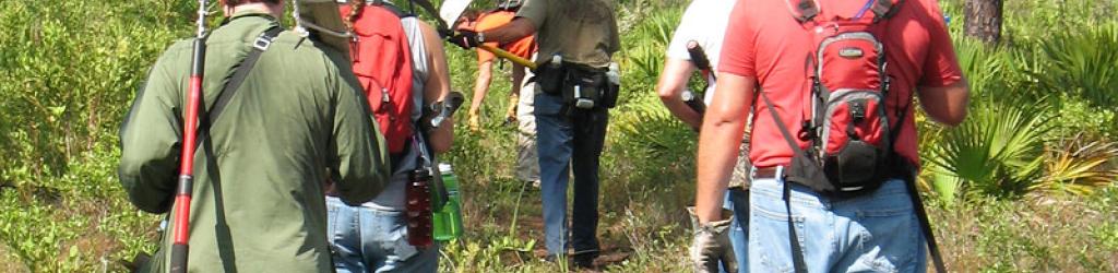 group of volunteers walking with tools to towards the forest