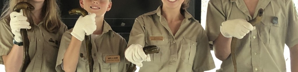 Four Forest Service employees holding lampreys. 
