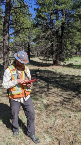 A man in a hardhat and high-vis vest uses a tablet while in a forest