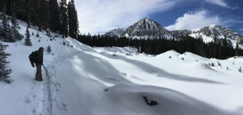 A hiker stands on a deep snow-covered trail in the forest.