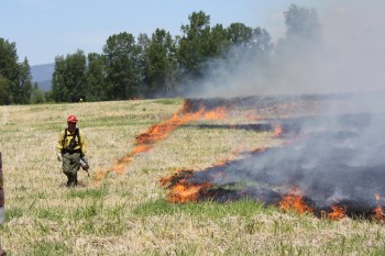 Firefighter with Drip Torch