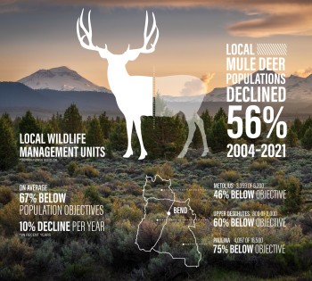 Deer Population Graphic
