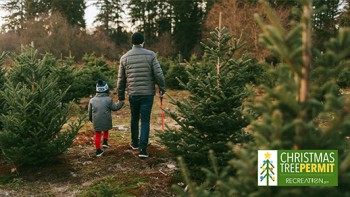 Christmas Tree Permit Photo