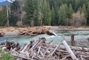 Cispus River-Yellowjacket Creek Restoration Project Woody Debris