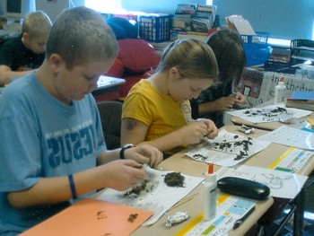 Owl Pellets