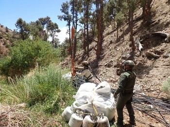Law enforcement personnel stand near several white bags of trash in a forest annabis grow