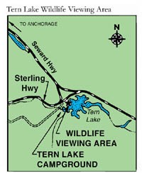 A map of Tern Lake.