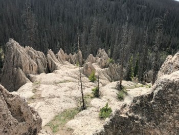 wheeler rock