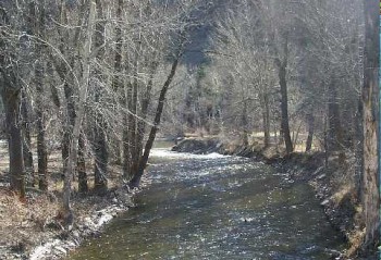 North Fork of the Salmon River