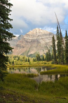 watershed_mancos