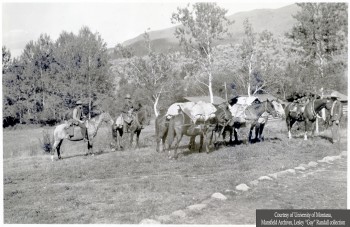 A black and white photo of two men on horses, another man standing by a horse and about 5 horses with packs on them in a meadow area with trees behind them.