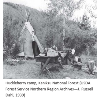An Indian family huckleberry camp in 1939 on the Kaniksu National Forest
