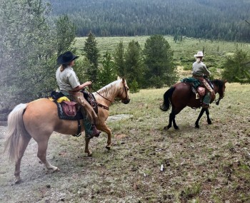 two forest service techs ride horseback through the mountains. 