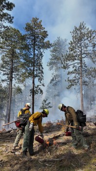 Lighting Borrego Campground RX