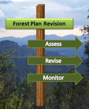 Forest Plan Revision - Assess, Revise, Monitor