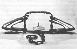 Beaver trap