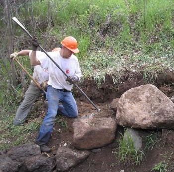 Photo of volunteers working on the forest