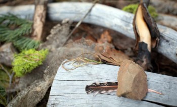 Leaf, rock and stick on log