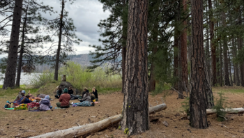 People sit in a circle on a forest floor