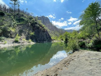 River flowing through canyon surrounded by trees