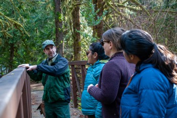 A group of people talking in a forest.
