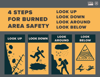 4 steps for burned area safety