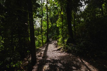 Science and Conservation Trail at El Portal de El Yunque