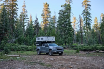 Truck with camper on top with conifers in the background. 