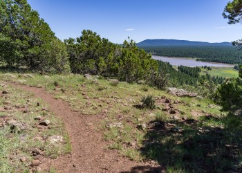 A narrow dirt trail overlooks a lake and piney forest.