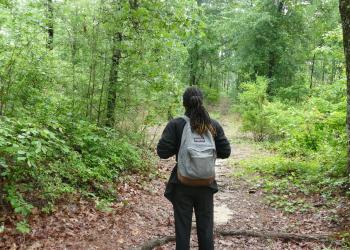 Person Hiking in National Forests in Alabama