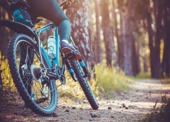 Activity: Mountain Biking