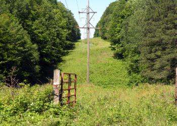 Event/Commercial Permits: Right of Way
