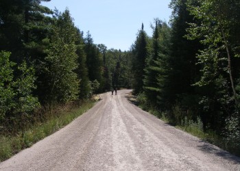 Land and Resources: Travel Management