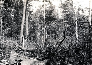 Little Arnot 1928 Slideshow