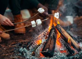 Plan Your Trip: Campfire