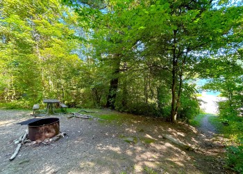 a photo of a camping spot with a picnic table and a fire ring