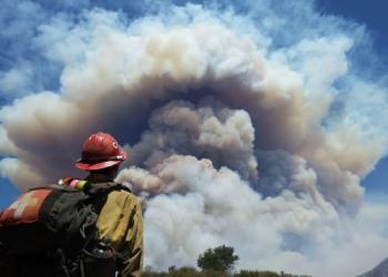 Firefighter Looking at Smoke