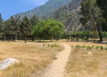 Picnic Area Landscape